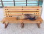 Galapagos travel tips - sea lion